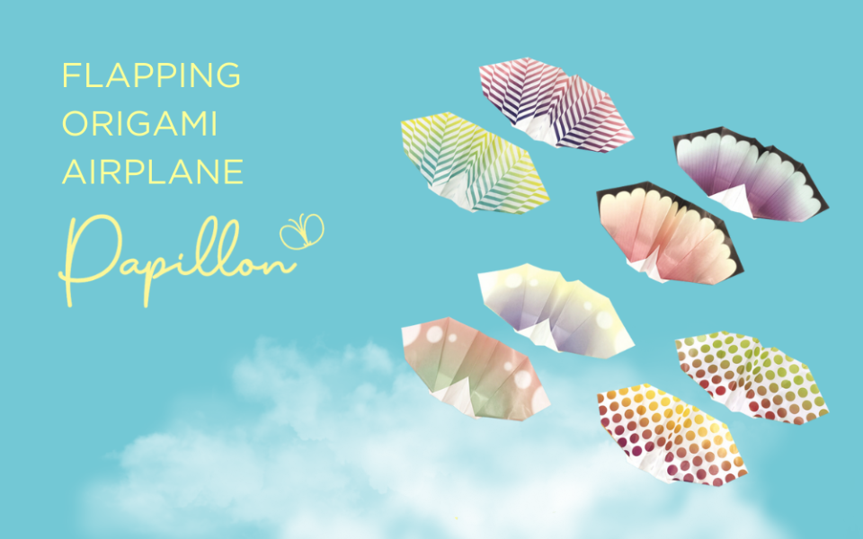 Papillon Origami Airplanes